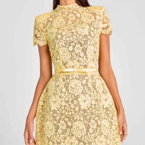 Floral Lace Short Sleeve Elegant Mini Dress